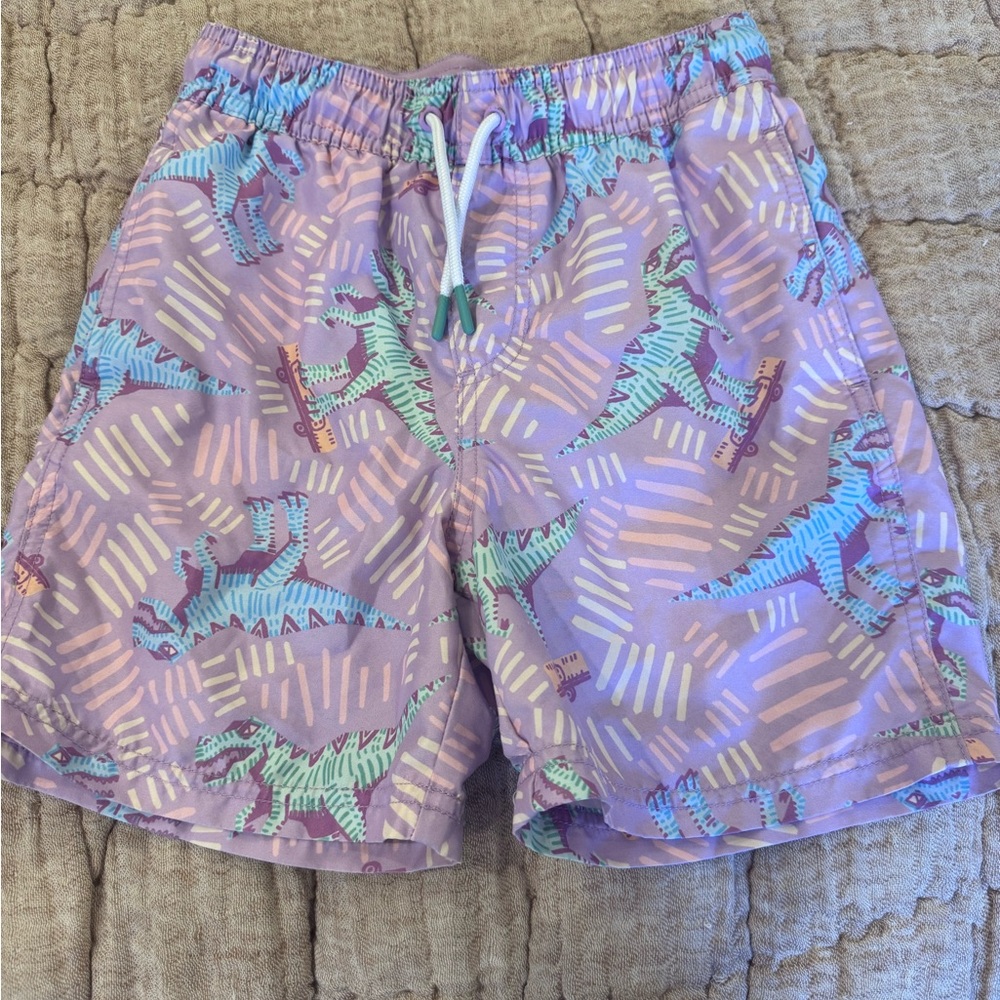 Boys Dinosaur Print Shorts